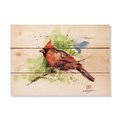 Wile E. Wood 15 x 11 in. Crousers Cardinal Wood Art WI87074